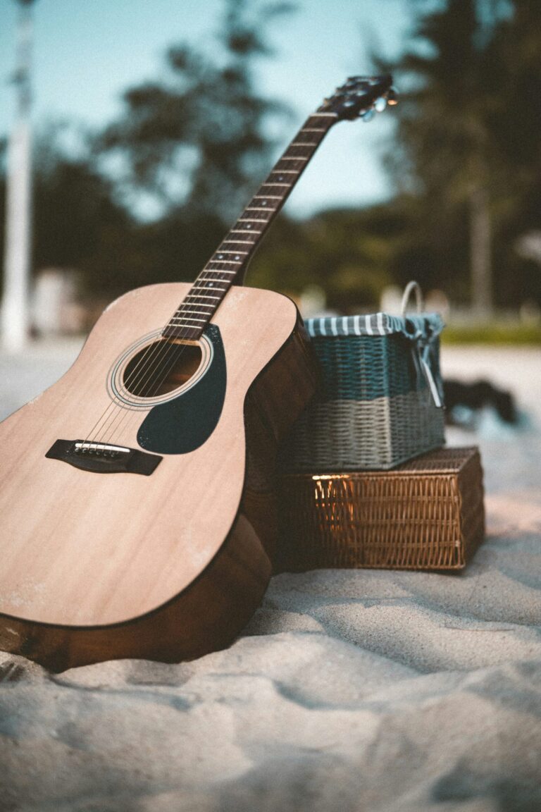 Programmbild: Saitenspinner Folk-Musik