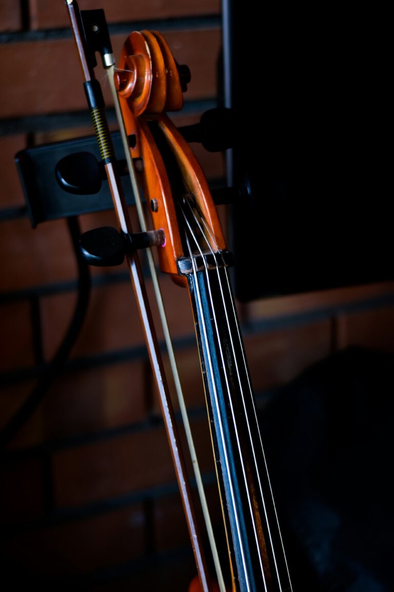 Programmbild: Thomas Braun Trio