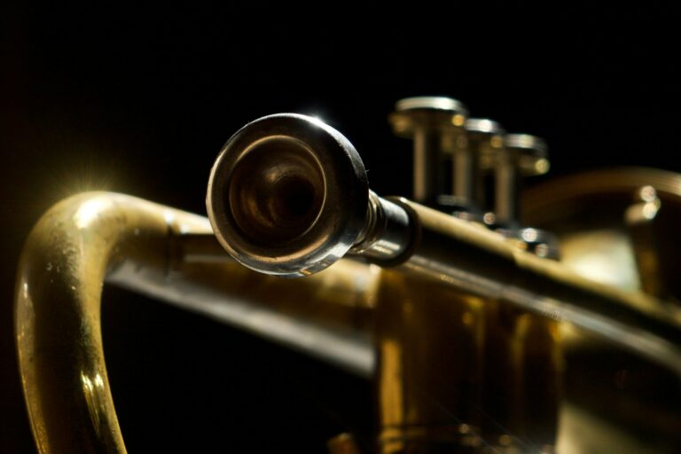 Programmbild: Konzert: Küchenquartett
