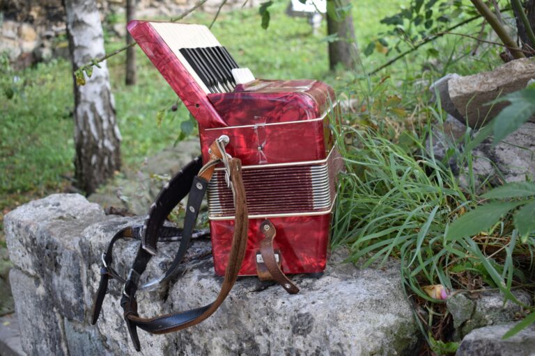 Programmbild: Zopf und Knopf Open-Air-Konzert