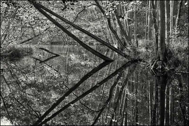 Programmbild: Fotografie Norbert Borowy