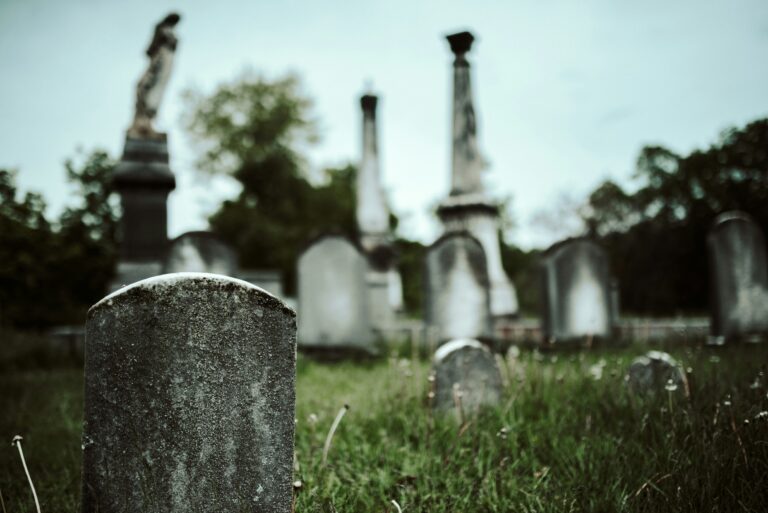 Programmbild: Schwarze Witwe – eine Friedhofsbegehung